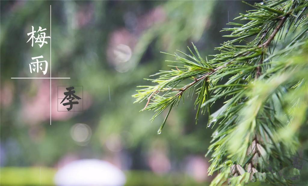 雨季到來，涂料施工需注意哪些問題